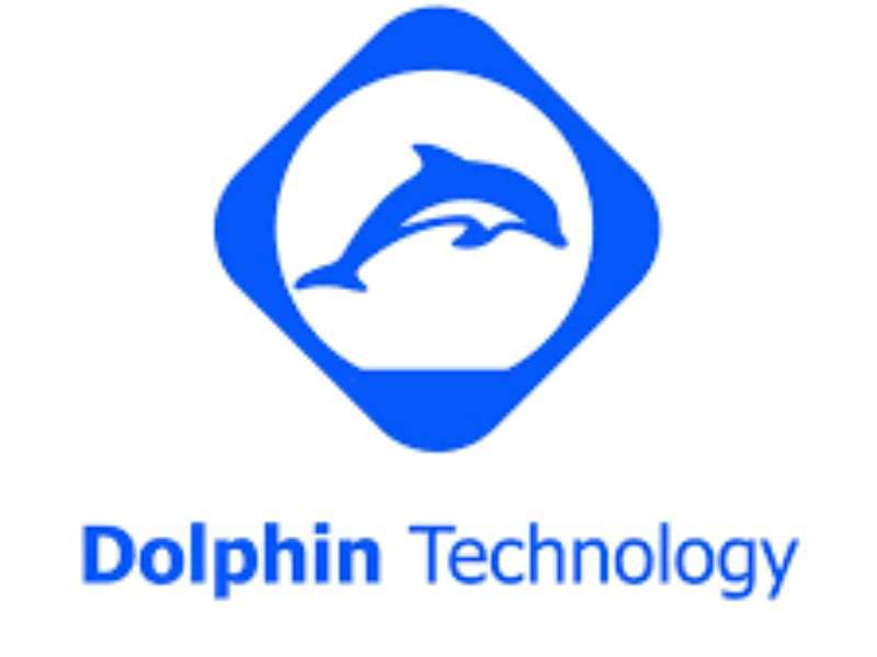 Chương trình thực tập năm 2021 công ty Dolphin Technology INC